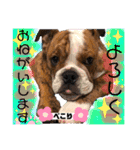 挨拶系！！カラフル☆ジェイムズ君とジョイ君（個別スタンプ：3）