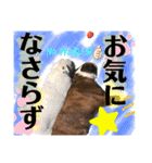 挨拶系！！カラフル☆ジェイムズ君とジョイ君（個別スタンプ：4）