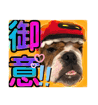 挨拶系！！カラフル☆ジェイムズ君とジョイ君（個別スタンプ：5）