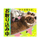 挨拶系！！カラフル☆ジェイムズ君とジョイ君（個別スタンプ：6）