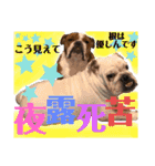 挨拶系！！カラフル☆ジェイムズ君とジョイ君（個別スタンプ：7）