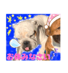 挨拶系！！カラフル☆ジェイムズ君とジョイ君（個別スタンプ：8）