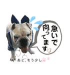 挨拶系！！カラフル☆ジェイムズ君とジョイ君（個別スタンプ：12）