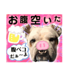 挨拶系！！カラフル☆ジェイムズ君とジョイ君（個別スタンプ：13）