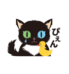 黒ねこ Oddy Vol.1（個別スタンプ：18）