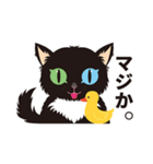 黒ねこ Oddy Vol.1（個別スタンプ：20）