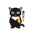 黒ねこ Oddy Vol.1（個別スタンプ：39）