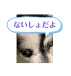 シナモンちーちゃん（個別スタンプ：4）