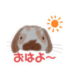 きなこのゆかいななかまたち（うさぎ）（個別スタンプ：1）