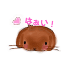 きなこのゆかいななかまたち（うさぎ）（個別スタンプ：8）