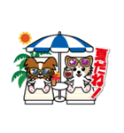 葉山に住むシニア犬の夏☆毎日がリゾート（個別スタンプ：1）