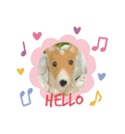 チビコギズスタンプ（個別スタンプ：1）