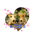 チビコギズスタンプ（個別スタンプ：2）
