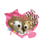 チビコギズスタンプ（個別スタンプ：5）
