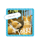 チビコギズスタンプ（個別スタンプ：9）