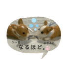 チビコギズスタンプ（個別スタンプ：11）