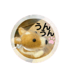 チビコギズスタンプ（個別スタンプ：12）