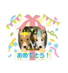 チビコギズスタンプ（個別スタンプ：14）