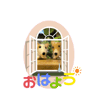 チビコギズスタンプ（個別スタンプ：18）
