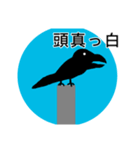 ハシブトくん（個別スタンプ：7）
