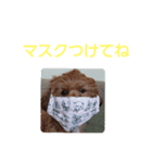 チップのかわいいスタンプ2（個別スタンプ：4）