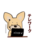 ちょうど良い犬スタンプ（個別スタンプ：19）