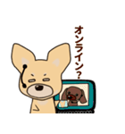 ちょうど良い犬スタンプ（個別スタンプ：33）