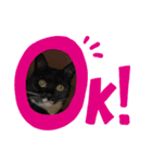 かわいいその二（個別スタンプ：3）