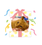 かわいいその二（個別スタンプ：8）