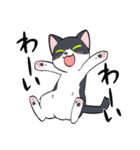元保護猫→しあわせハチワレねこソラちゃん（個別スタンプ：12）