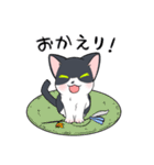 元保護猫→しあわせハチワレねこソラちゃん（個別スタンプ：24）