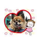 かわいい❤️こまちゃん4❤️❤️（個別スタンプ：5）