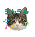 ごえもん日和 5（個別スタンプ：1）