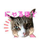 ごえもん日和 5（個別スタンプ：4）