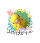 愛しのインコファミリー♪（個別スタンプ：4）