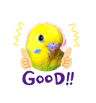 愛しのインコファミリー♪（個別スタンプ：8）
