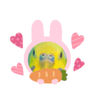 愛しのインコファミリー♪（個別スタンプ：12）