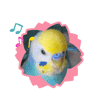 愛しのインコファミリー♪（個別スタンプ：18）