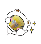 愛しのインコファミリー♪（個別スタンプ：21）