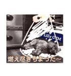 トイプーな生活6th（個別スタンプ：13）