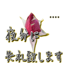 上品な薔薇〜カスタム〜（個別スタンプ：6）