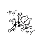 黒ビキニねこ（個別スタンプ：21）