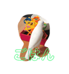 文鳥とシーズーの日常2（個別スタンプ：5）