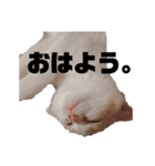 アンの気持ち（個別スタンプ：1）