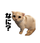 アンの気持ち（個別スタンプ：14）