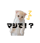 アンの気持ち（個別スタンプ：16）
