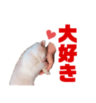 アンの気持ち（個別スタンプ：18）