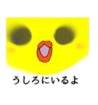 ぐいぐいヒヨコ（個別スタンプ：11）