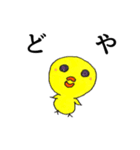 ぐいぐいヒヨコ（個別スタンプ：16）