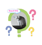 オカメとミニダックス（個別スタンプ：22）